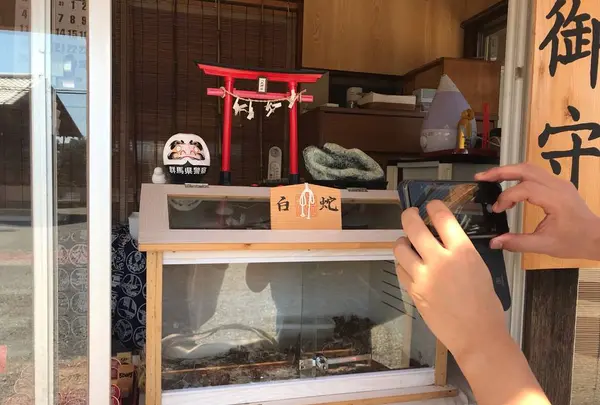 八坂神社(太田市世良田町)の写真・動画_image_298022