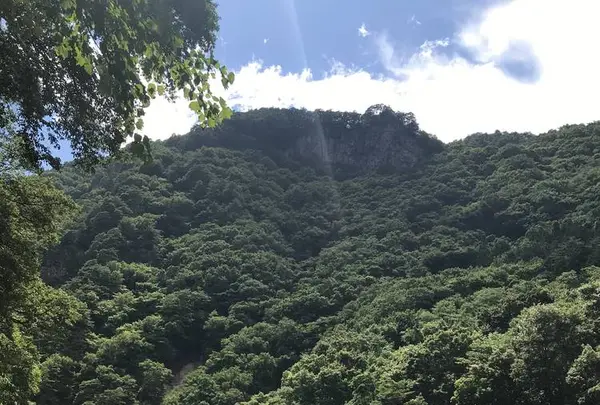 吹割の滝の写真・動画_image_298043