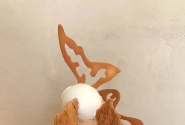SUGiTORAの写真・動画_image_298354