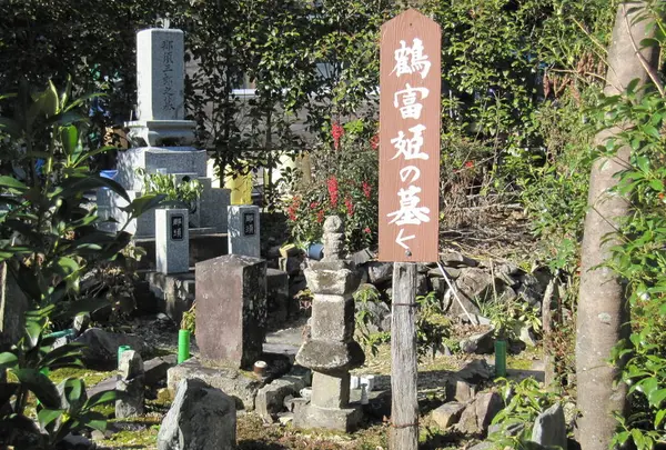 鶴富屋敷の写真・動画_image_298817