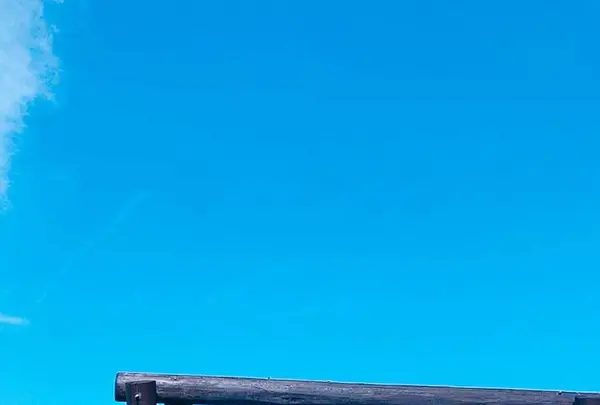 サンメッセ日南の写真・動画_image_299261