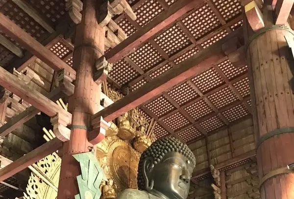 東大寺の写真・動画_image_299623