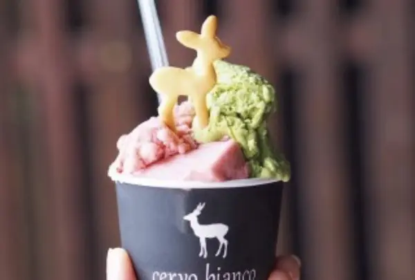 cervo biancoの写真・動画_image_299655