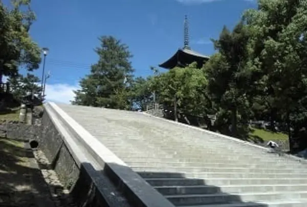 五十二段の写真・動画_image_299665