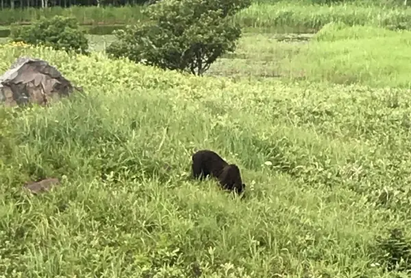サロマ湖の写真・動画_image_299725