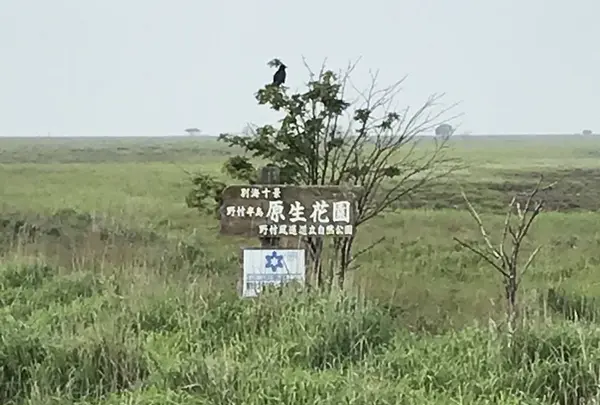 野付半島の写真・動画_image_299793