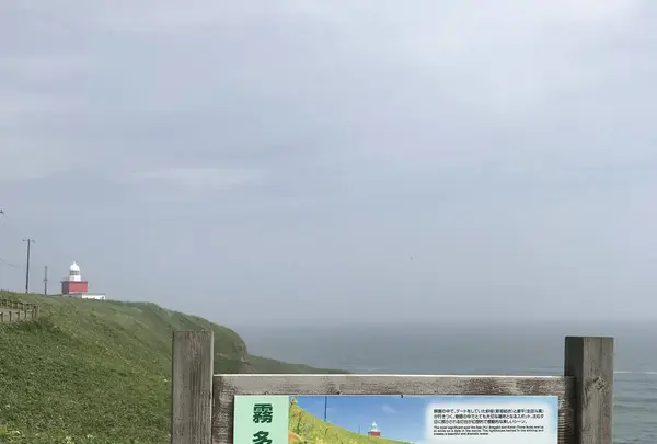 野付半島の写真・動画_image_299810