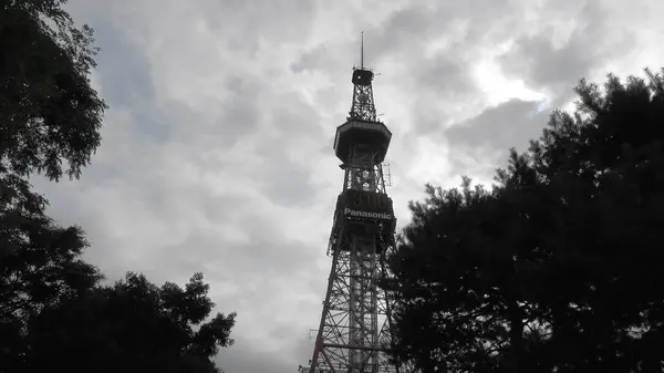 大通公園の写真・動画_image_299945