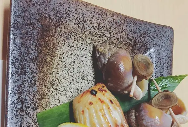 つる旬彩手包丁の写真・動画_image_299992