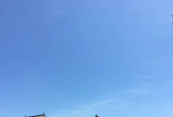 大阪城の写真・動画_image_300334