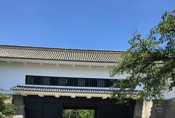大阪城の写真・動画_image_300339