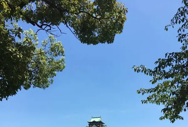大阪城の写真・動画_image_300344