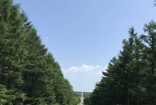 多和平の写真・動画_image_300426