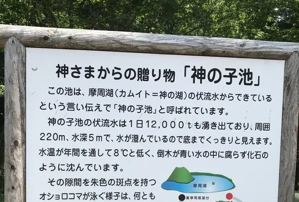 多和平の写真・動画_image_300432