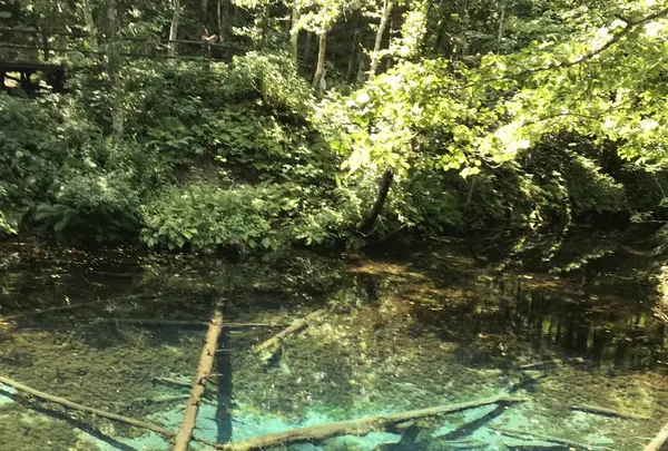 多和平の写真・動画_image_300433