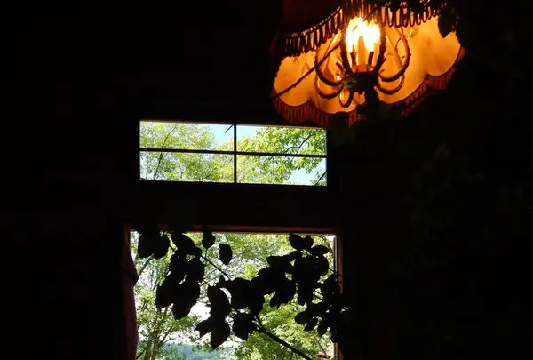 Good Old Land （グッドオールドランド）の写真・動画_image_300459