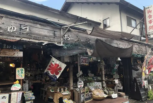 ぐるり宮ケ瀬湖 （公益財団法人 宮ケ瀬ダム周辺振興財団）の写真・動画_image_300665
