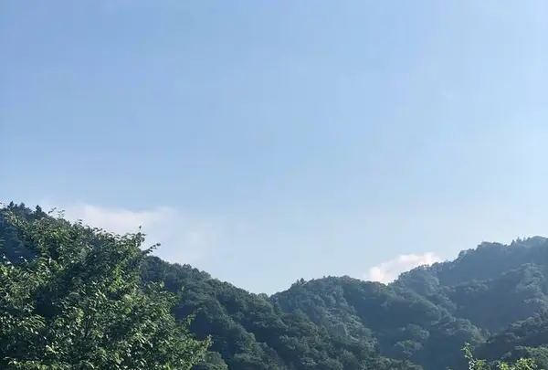 ぐるり宮ケ瀬湖 （公益財団法人 宮ケ瀬ダム周辺振興財団）の写真・動画_image_300666