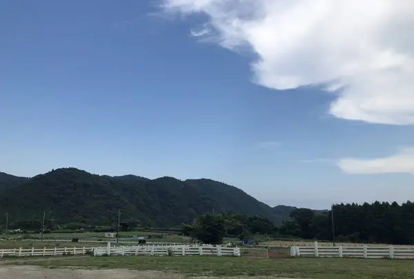 服部牧場の写真・動画_image_300740