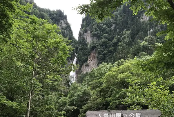 タウシュベツ橋梁展望台の写真・動画_image_300810