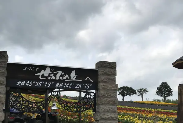 タウシュベツ橋梁展望台の写真・動画_image_300822
