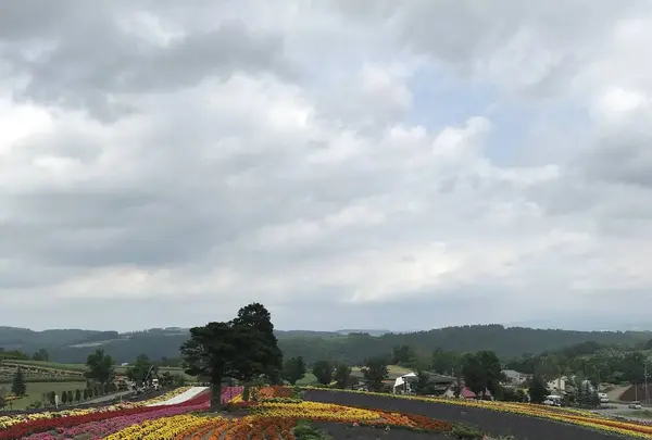 タウシュベツ橋梁展望台の写真・動画_image_300823