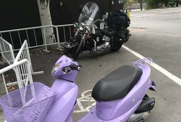 ファーム富田の写真・動画_image_301068