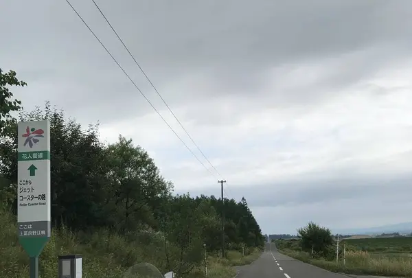 ファーム富田の写真・動画_image_301075