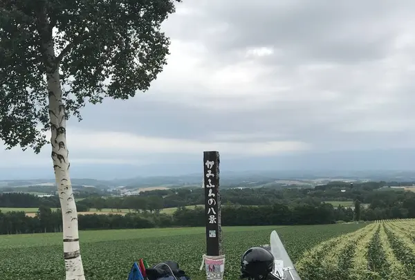 ファーム富田の写真・動画_image_301076