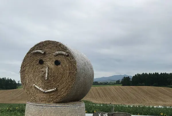 ファーム富田の写真・動画_image_301080