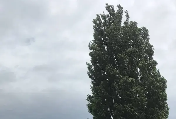 ファーム富田の写真・動画_image_301081