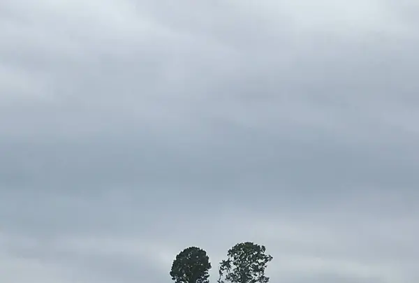 ファーム富田の写真・動画_image_301144