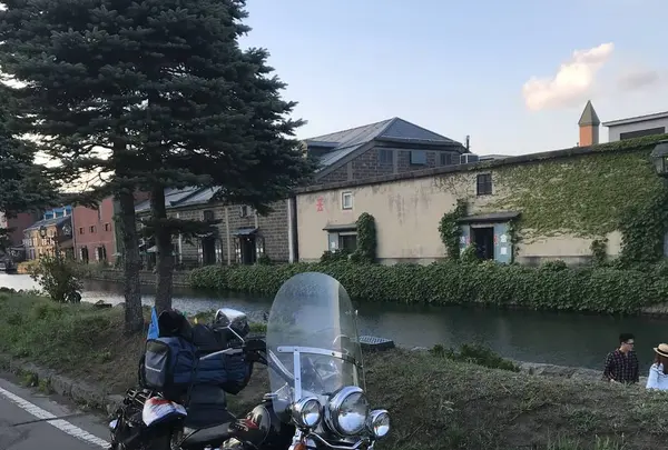 ファーム富田の写真・動画_image_301149