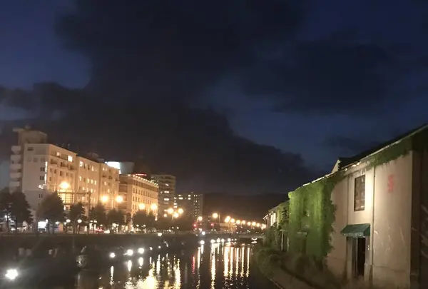 ファーム富田の写真・動画_image_301150