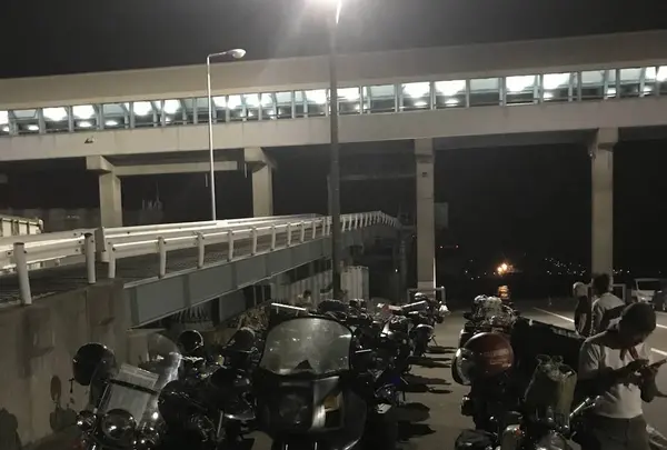 ファーム富田の写真・動画_image_301152