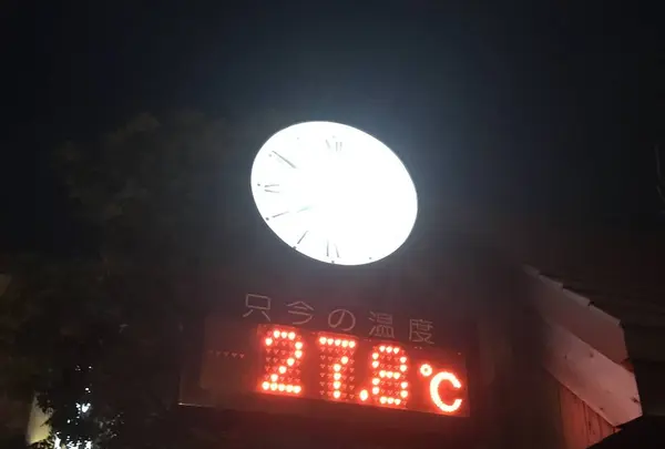 ファーム富田の写真・動画_image_301160