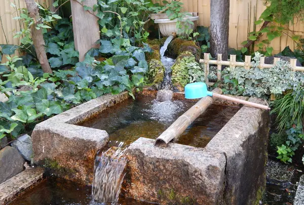 水の都大垣の湧き水の写真・動画_image_301332