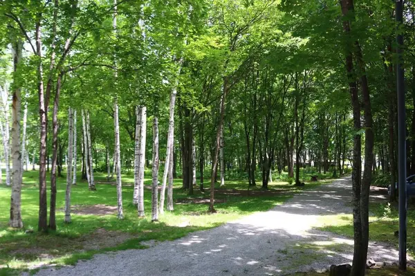 ふらのチーズ工房の写真・動画_image_301467