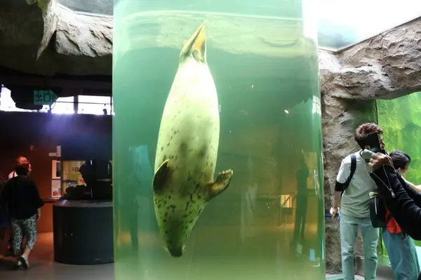 旭川市 旭山動物園の写真・動画_image_301472