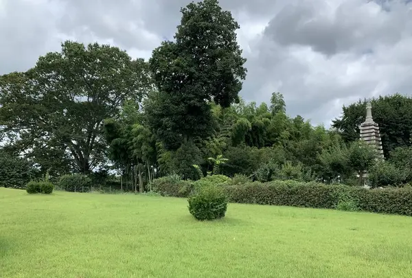 下野薬師寺跡の写真・動画_image_301594