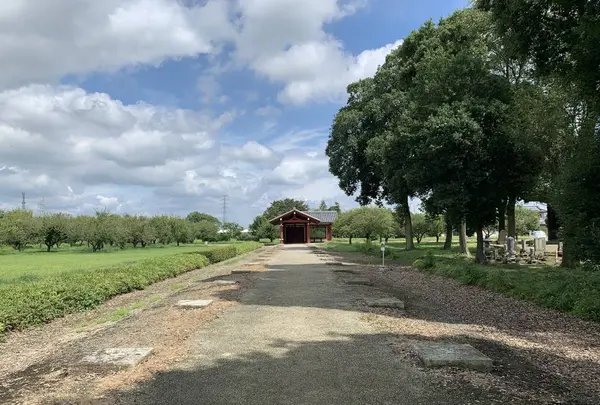 下野薬師寺跡の写真・動画_image_301596