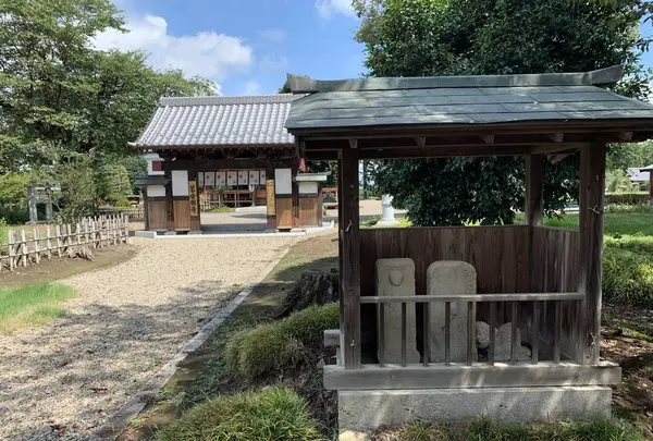 下野薬師寺跡の写真・動画_image_301598