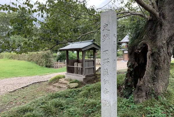 下野薬師寺跡の写真・動画_image_301600