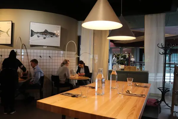 Fisken på Diskenの写真・動画_image_301941