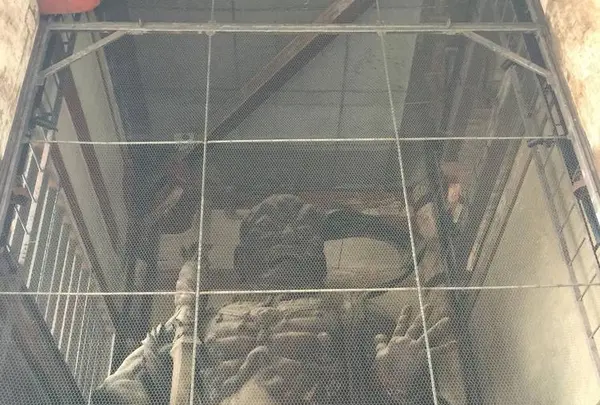 東大寺南大門金剛力士像の写真・動画_image_302044