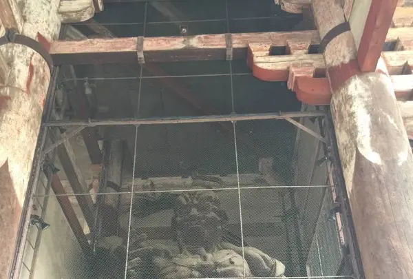 東大寺南大門金剛力士像の写真・動画_image_302047