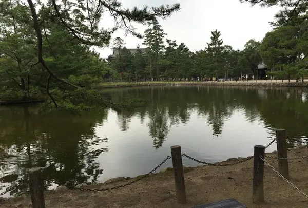 鏡池の写真・動画_image_302050