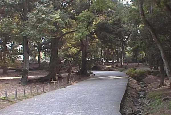 鏡池の写真・動画_image_302053