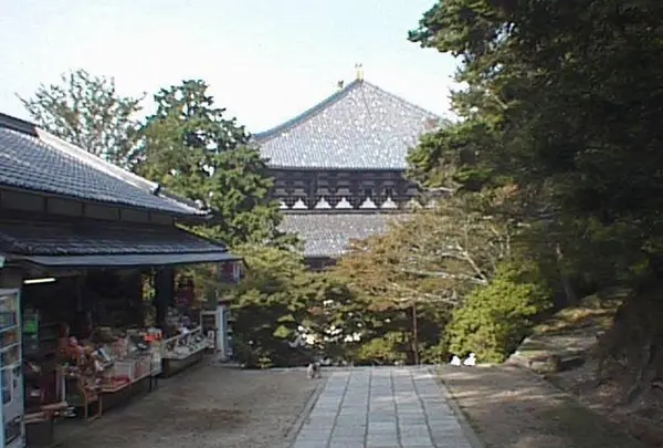 東大寺鐘楼(奈良太郎)の写真・動画_image_302054