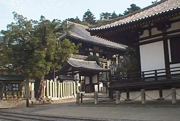東大寺二月堂の写真・動画_image_302060